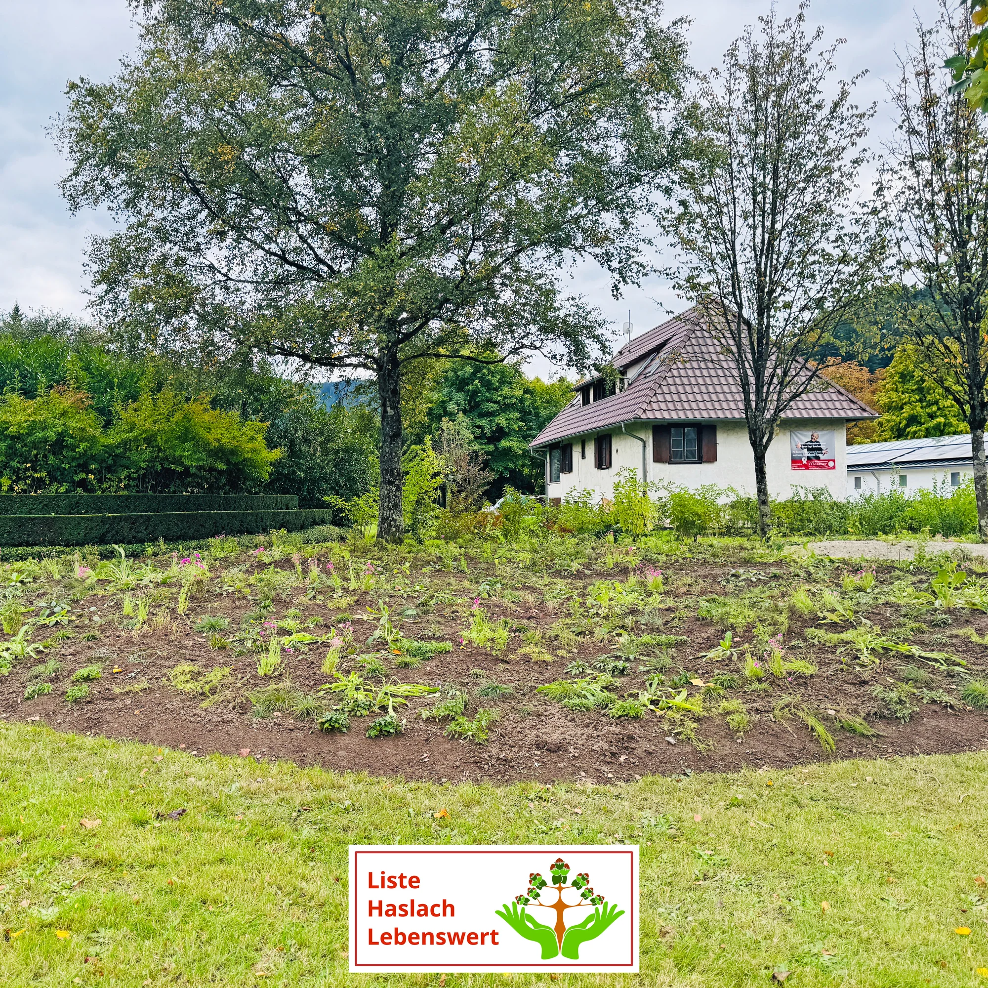 Liste Haslach Lebenswert - LHL, Insektenfreundliches Haslach